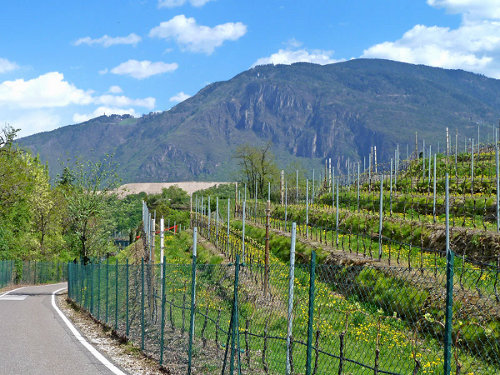 Fahrradweg durch Frangart