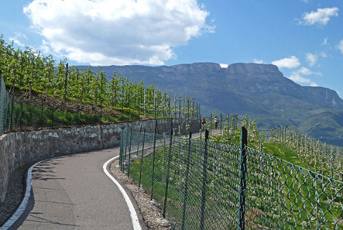 Fahrradweg durch Frangart